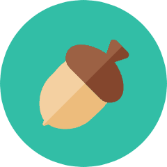 Acorn Icon from Kameleon Colors Set
