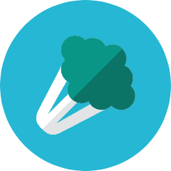 Broccoli Icon from Kameleon Colors Set