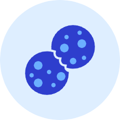 Cookies Icon from Kameleon Duo Set