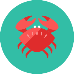 Crab Icon from Kameleon Colors Set