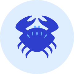 Crab Icon from Kameleon Duo Set