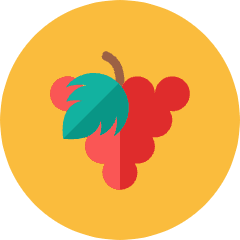 Grape Icon from Kameleon Colors Set