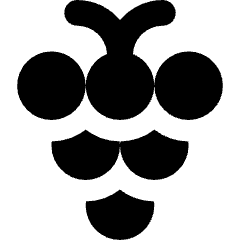Grape Icon from Core Solid Set