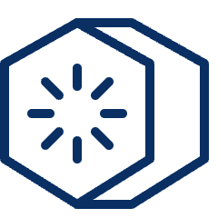 Kiwi Icon from Cyber Line Set