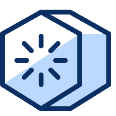 Kiwi Icon from Cyber Duotone Set