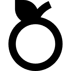 Nutrition Fruit Orange Icon from Sharp Remix Set