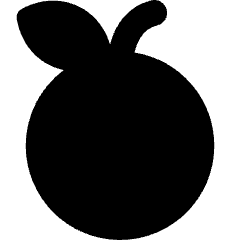 Nutrition Fruit Orange Icon from Core Solid Set