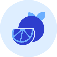 Orange Icon from Kameleon Duo Set