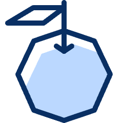 Orange Icon from Cyber Duotone Set