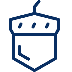 Walnut Icon from Cyber Line Set