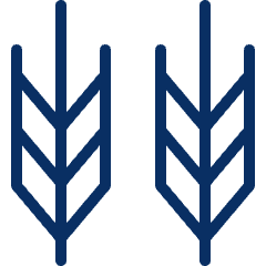 Wheat Icon from Cyber Line Set