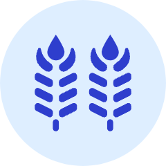 Wheat Icon from Kameleon Duo Set