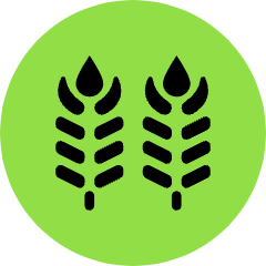 Wheat Icon from Kameleon Pop Set