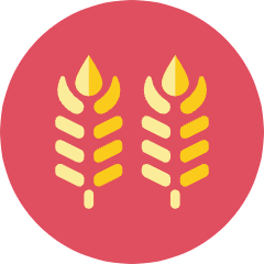 Wheat Icon from Kameleon Colors Set