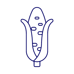 Corn Illustration from UX Line Set
