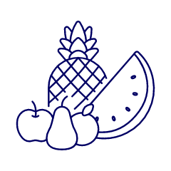 Fruits Illustration from UX Line Set