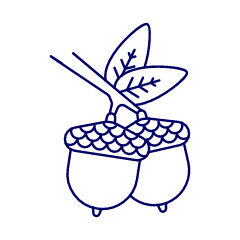 Oaknuts Illustration from UX Line Set