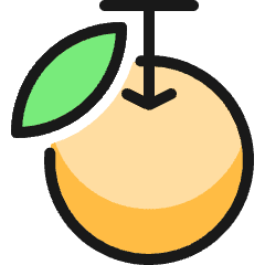 Fruit Orange Icon from Ultimate Colors Set