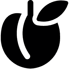 Fruit Apricot Icon from Ultimate Bold Set