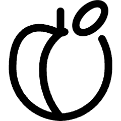 Fruit Apricot Icon from Ultimate Regular Set