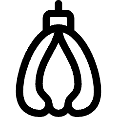 Fruit Bhudda Hand Finger Citron 1 Icon from Ultimate Regular Set