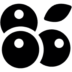 Fruit Billberry Blackberry Blueberry Icon from Ultimate Bold Set