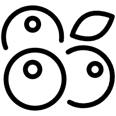 Fruit Billberry Blackberry Blueberry Icon from Ultimate Light Set