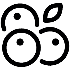 Fruit Billberry Blackberry Blueberry Icon from Ultimate Regular Set