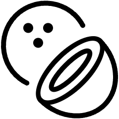 Fruit Coconut Icon from Ultimate Light Set