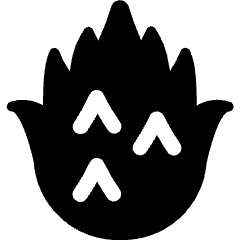 Fruit Dragon Fruit Icon from Ultimate Bold Set