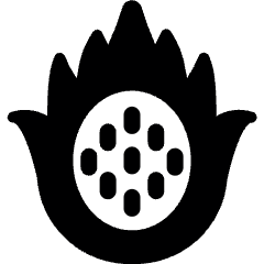 Fruit Dragon Fruit Slice Icon from Ultimate Bold Set