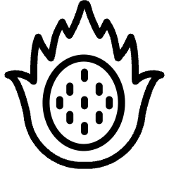 Fruit Dragon Fruit Slice Icon from Ultimate Light Set