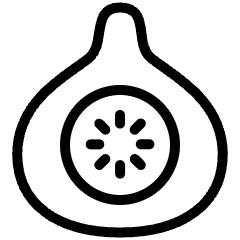 Fruit Fig Slice Icon from Ultimate Light Set