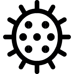 Fruit Rambutan Icon from Ultimate Regular Set