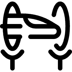 Hyperloop Track Icon from Ultimate Regular Set