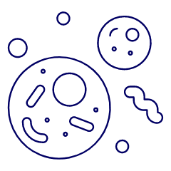Cell Illustration from UX Line Set