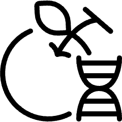 Gmo Food Apple Dna Icon from Ultimate Light Set