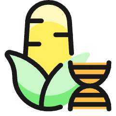 Gmo Food Corn Dna Icon from Ultimate Colors Set