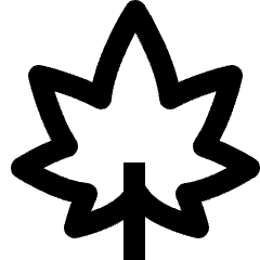 Clean line icon of a stylized five-lobed leaf with a central stem. Used for herbal medicine, wellness, and botanical products.