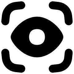 Iris Scan Icon from Flex Solid Set