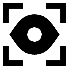 Iris Scan Icon from Sharp Solid Set