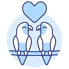 Love Parrots Illustration from UX Duotone Set