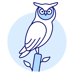 Owl Illustration from UX Duotone Set