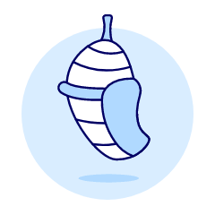 Pupa Illustration from UX Duotone Set
