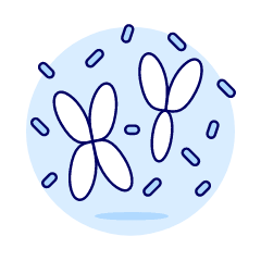 Chromosome Illustration from UX Duotone Set