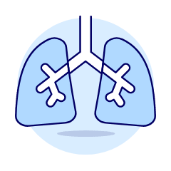 Lungs Illustration from UX Duotone Set