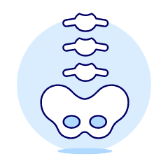 Spine Illustration from UX Duotone Set