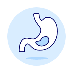 Stomach 1 Illustration from UX Duotone Set