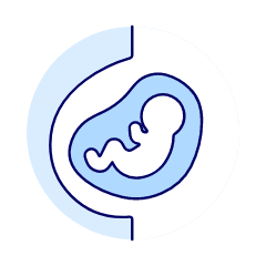 Pregnancy 1 Illustration from UX Duotone Set