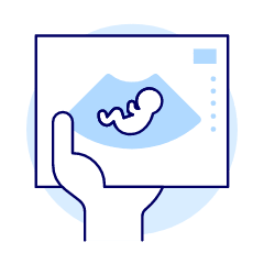 Ultrasound 1 Illustration from UX Duotone Set